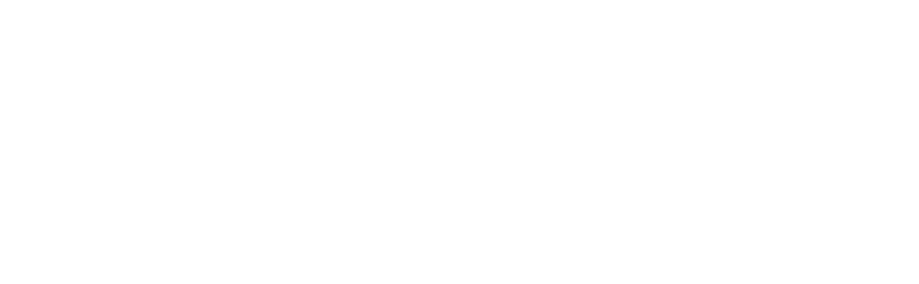 Danese Business SRL